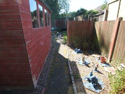 Picture 17